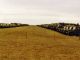 1977-manneck-11